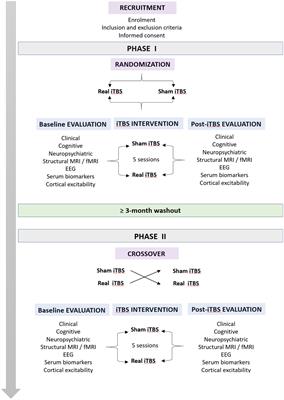 Neuroimaging and serum biomarkers of neurodegeneration and neuroplasticity in Parkinson’s disease patients treated by intermittent theta-burst stimulation over the bilateral primary motor area: a randomized, double-blind, sham-controlled, crossover trial study